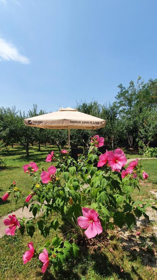 Izvorani Forest Inn מראה חיצוני תמונה